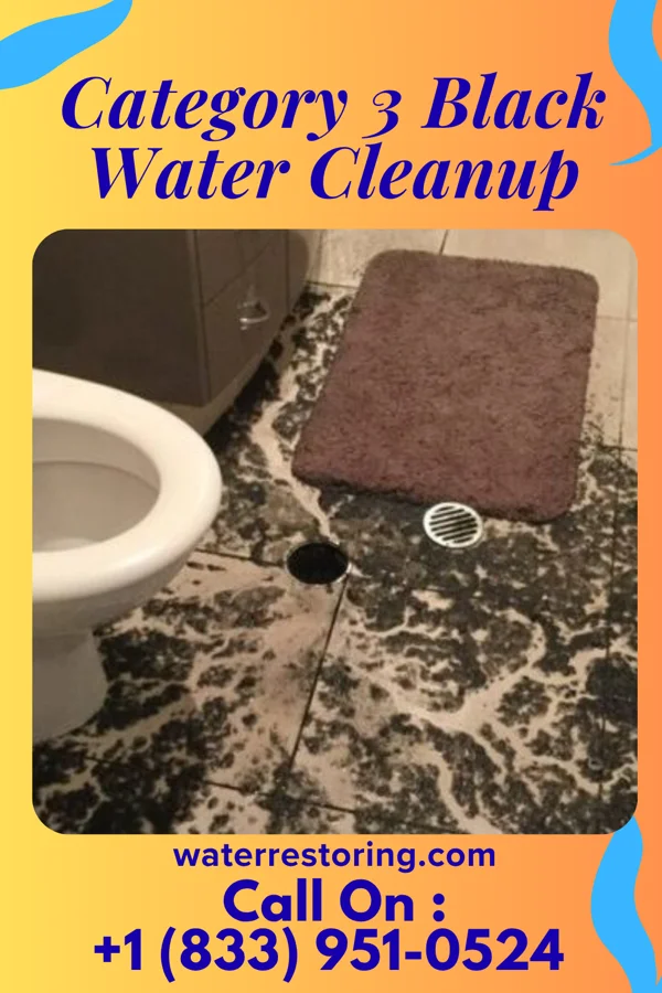 Category 3 Black Water Cleanup in Bardmoor, FL